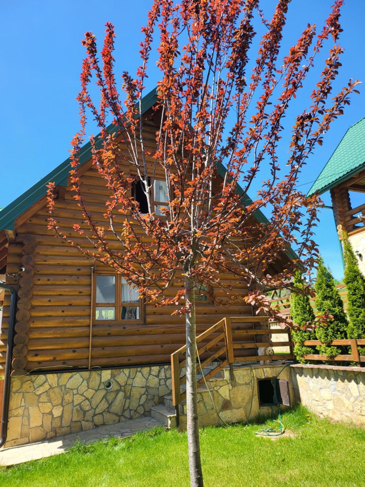 Zlatar Luxury Chalet - Trace Of Nature 2214 Nova Varoš Eksteriør billede